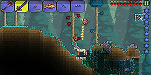 泰拉瑞亚各种怪物的弱点是什么