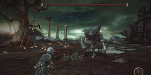 帕斯卡契约幼嫩真菌在哪刷