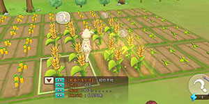 悠长假期农田发光是怎么回事