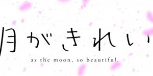 B站月色真美什么意思