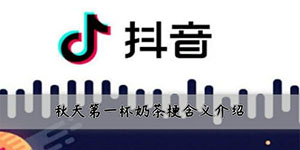 抖音秋天第一杯奶茶什么梗