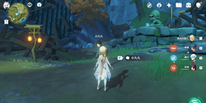 原神林中小书任务怎么完成