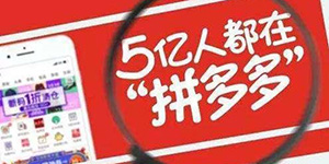 2020拼多多商家怎么参加双十二活动