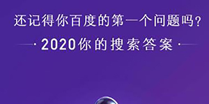 你的2020搜索账单是什么意思