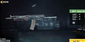 使命召唤手游ak47和an94哪个好