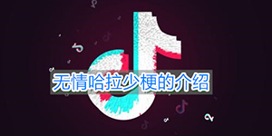 抖音无情哈拉少是什么梗
