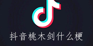 抖音桃木剑什么梗