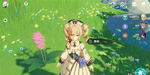 原神薄荷在哪里摘取