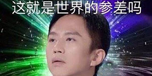 世界的参差是什么意思