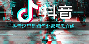 抖音这里是缅甸北部是什么梗