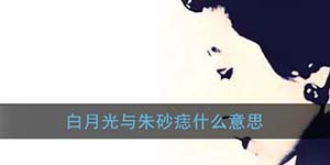 抖音白月光与朱砂痣是什么梗