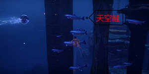 天谕手游天空鲑在哪