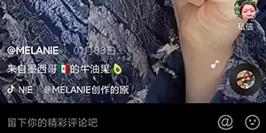 墨西哥牛油果是什么梗