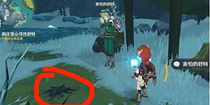 原神点燃火堆任务怎么做