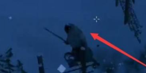 英灵神殿狼怎么驯服