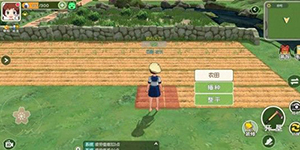 小森生活怎么增加农田