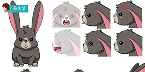 小森生活兔子病了怎么办