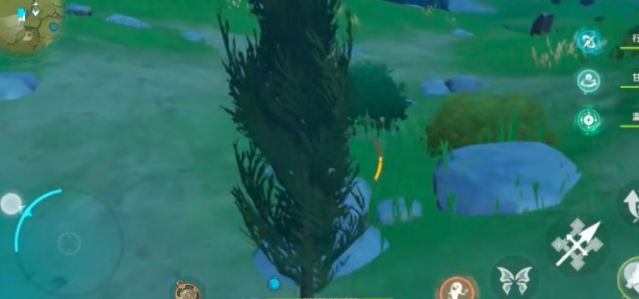 原神松木哪里最多