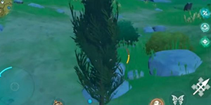 原神松木哪里多