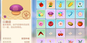 摩尔庄园手游蘑菇刷新时间一览