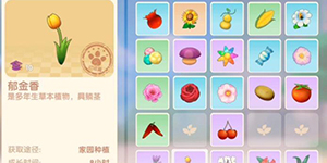 摩尔庄园手游水球怎么获得