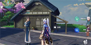 原神稻妻汤雯任务怎么做