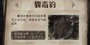 哈利波特魔法觉醒囊毒豹怎么打