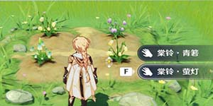 原神梦里花怎么做