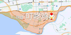 叮咚鸡什么意思