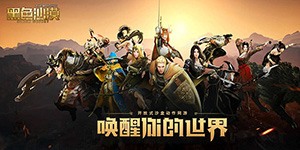 黑色沙漠手游最强职业是哪个