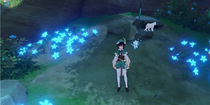 原神蓝宝石猫在哪