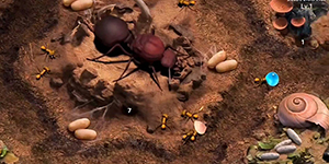 小小蚁国哪个蚂蚁好