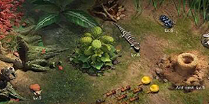 小小蚁国蚂蚁排行一览