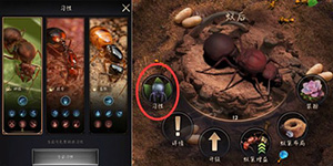 小小蚁国驻扎怎么取消