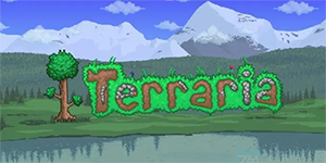 泰拉瑞亚战士毕业饰品有哪些