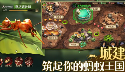 小小蚁国兑换码汇总