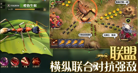 小小蚁国互水是什么