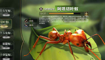 小小蚁国为什么打人资源少