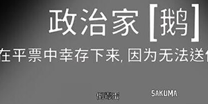 鹅鸭杀政治家技能一览