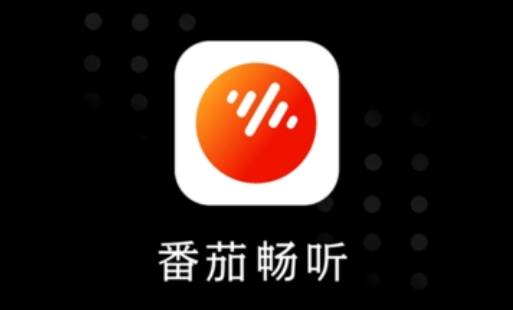 番茄畅听怎么看文字