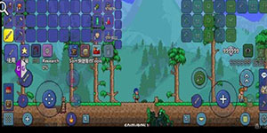 泰拉瑞亚2023兑换码一览