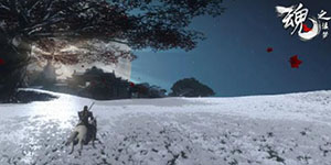 魂之追梦最强职业是什么