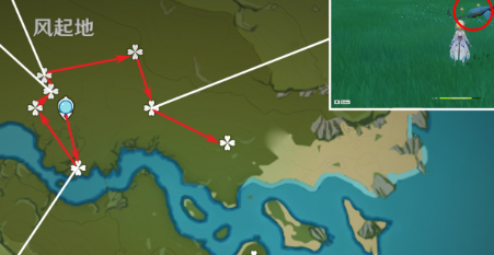 原神风车菊分布地点