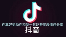 抖音你真好奖励你和我一起吃野菜表情包分享