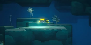 潜水员戴夫羽状珊瑚和莲状珊瑚在哪