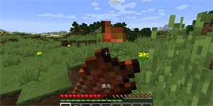 我的世界哪种肉最好