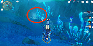 原神水形幻人在哪