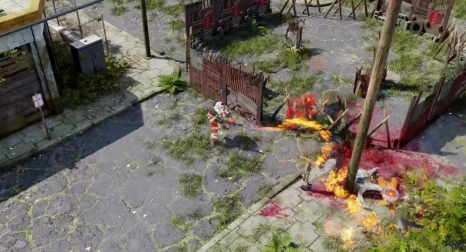 欢迎来到帕拉迪泽什么时候上线