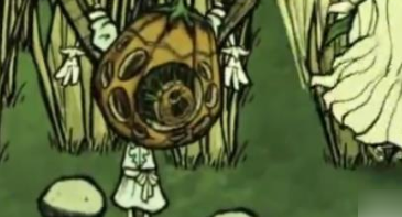 饥荒新家园怎么种巨大火龙果