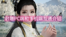 射雕PC端和手机端互通介绍